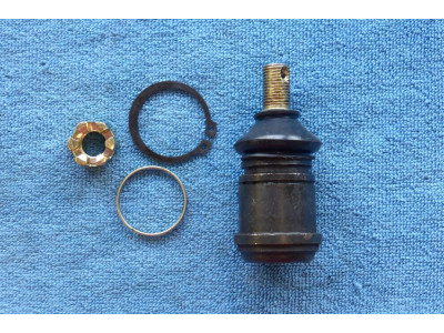 Cep rameno Bashan Shineray