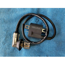 Civka inducka velka svicka