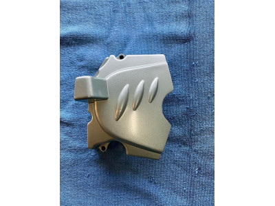 kryt pastorek bashan