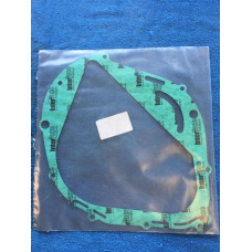 Tesneni shineray 300cc