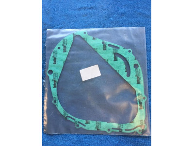 Tesneni shineray 300cc